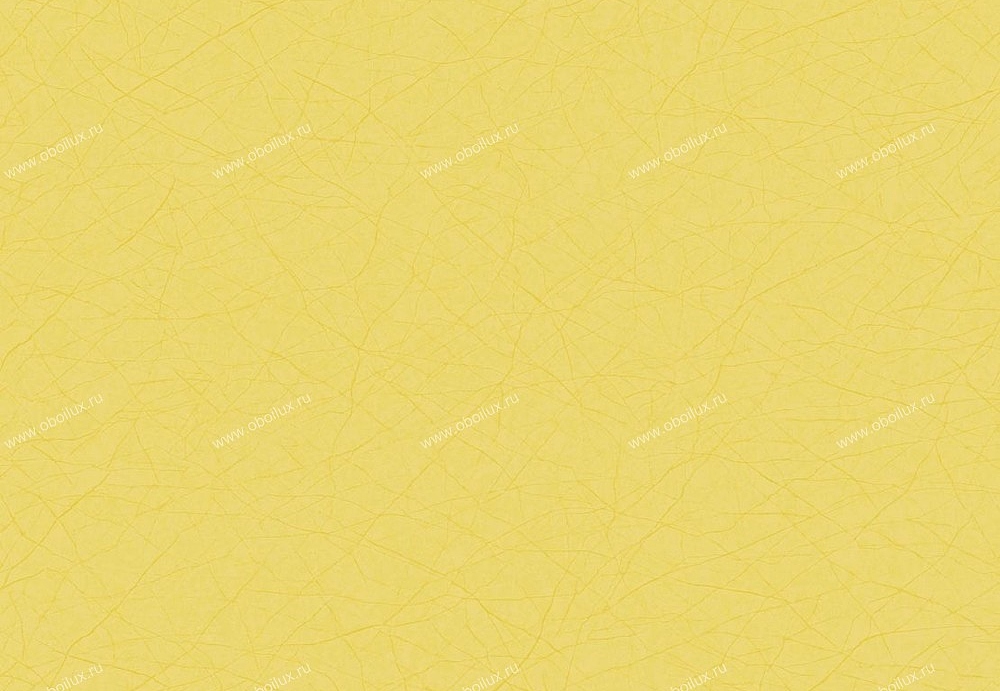 Обои Casadeco So Color 2 SCR21072105