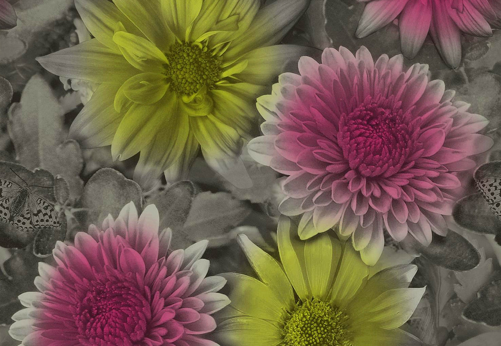 Обои Holden Decor Emporia 97260