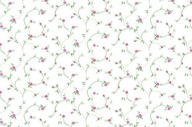 Обои York Roses PN0512