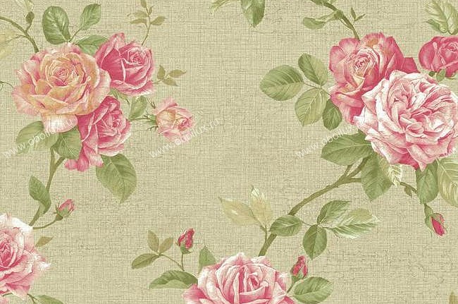 Обои York Roses PN0475