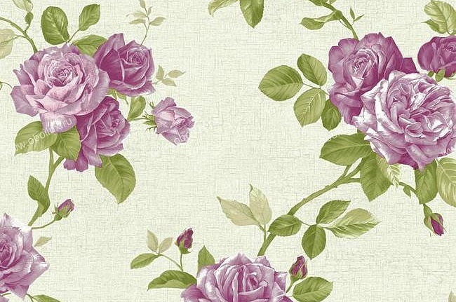 Обои York Roses PN0474