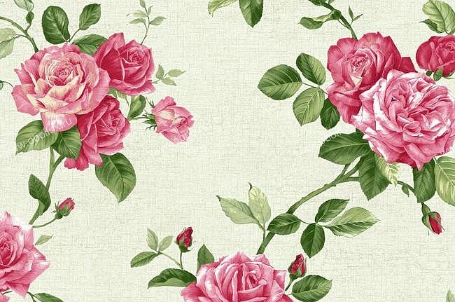Обои York Roses PN0473