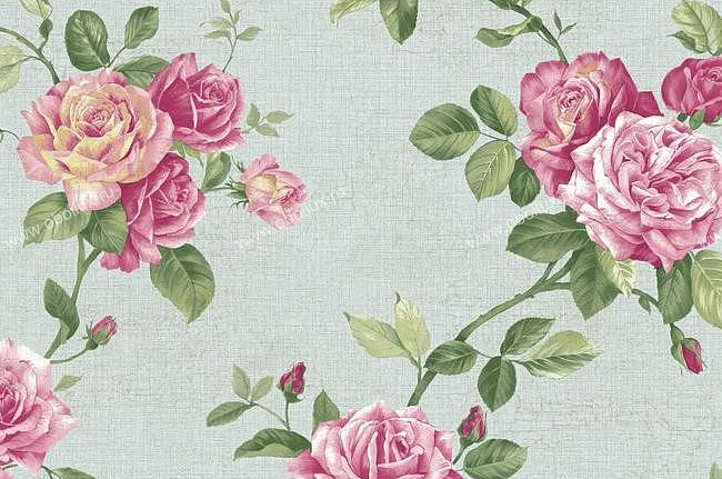 Обои York Roses PN0472