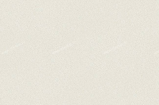 Обои York Candice Olson - Embellished Surfaces COD0135N