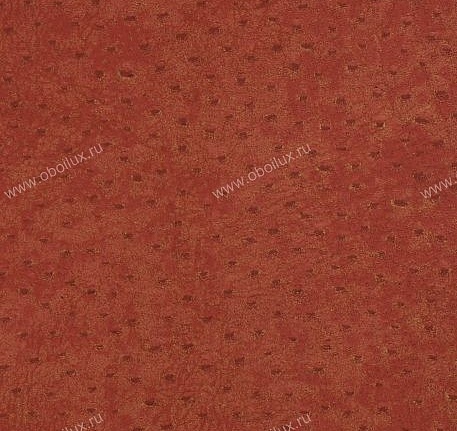 Обои York Natural Instincts NT9008