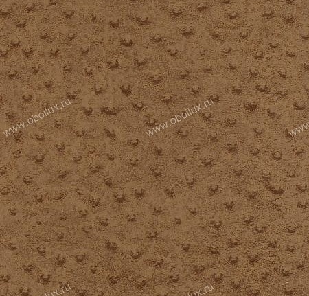 Обои York Natural Instincts NT9007
