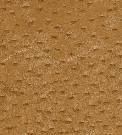 Обои York Natural Instincts NT9005