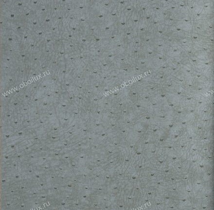 Обои York Natural Instincts NT9004