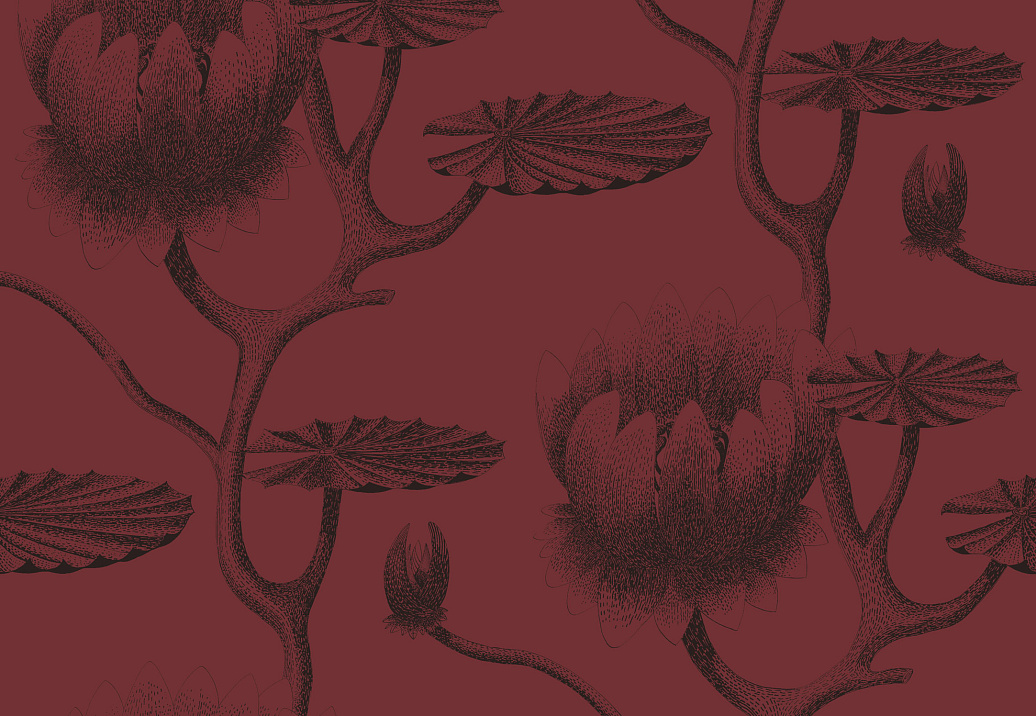 Обои Cole & Son New Contemporary 2 69/3111