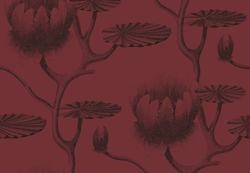 Обои Cole & Son New Contemporary 2 69/3111