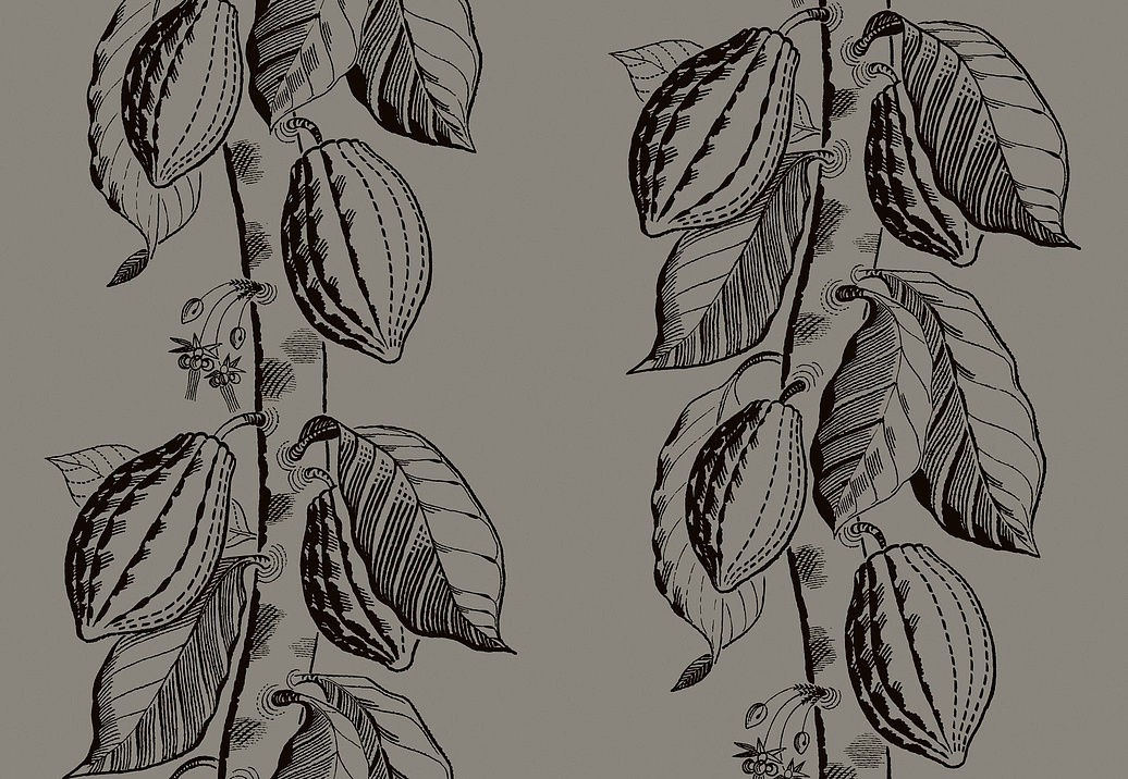 Обои Cole & Son Frontier 89/11046