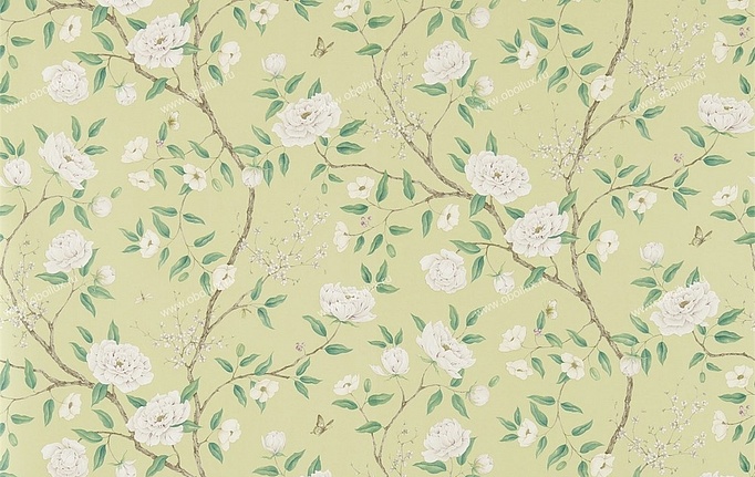 Английские обои Zoffany, коллекция Woodville, артикул 311337