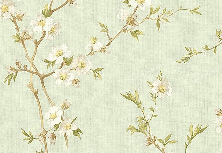 Обои Chesapeake Natural Living NL58175