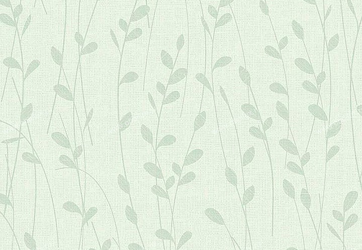 Обои Chesapeake Natural Living NL58146