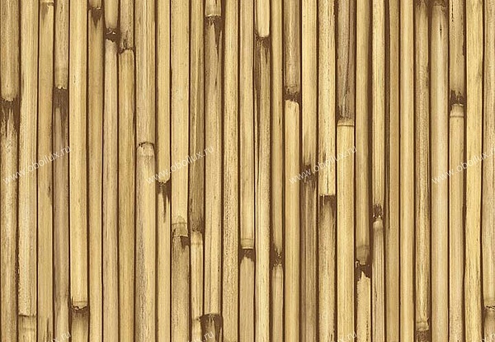 Обои Chesapeake Natural Living NL58115