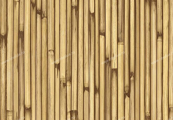 Обои Chesapeake Natural Living NL58115