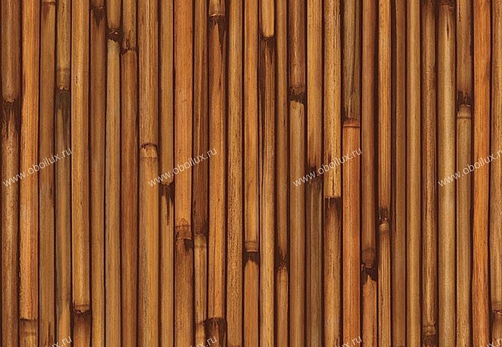 Обои Chesapeake Natural Living NL58114