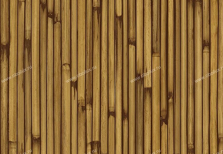 Обои Chesapeake Natural Living NL58113