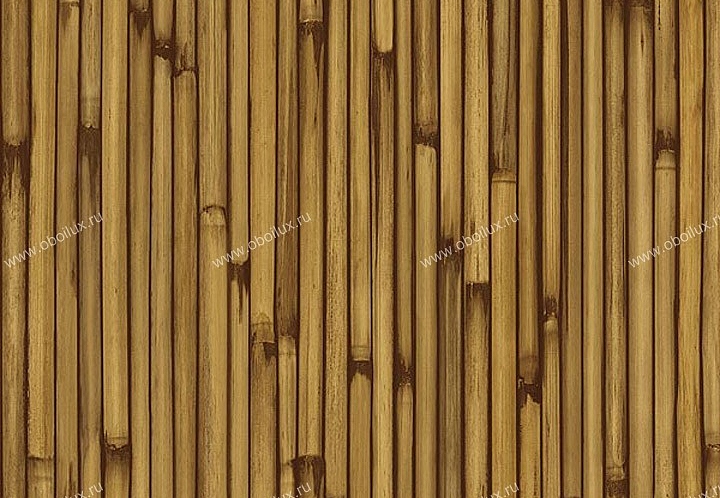 Обои Chesapeake Natural Living NL58113