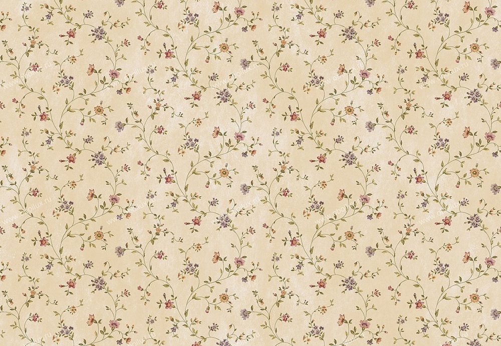 Обои Chesapeake Pure Country PUR44003