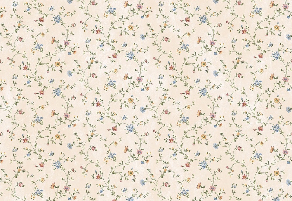 Обои Chesapeake Pure Country PUR44002