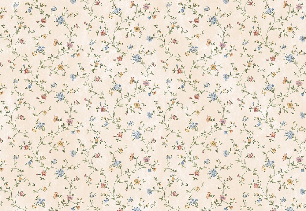 Обои Chesapeake Pure Country PUR44002