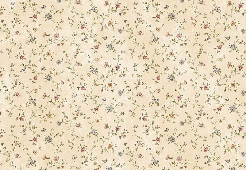 Обои Chesapeake Pure Country PUR44001