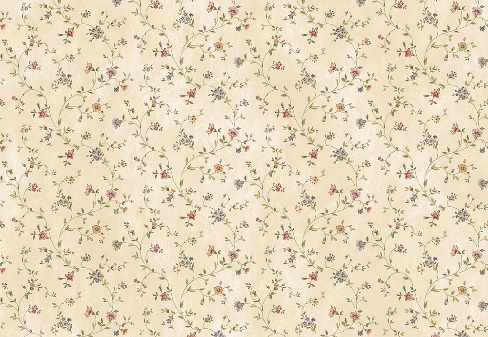 Обои Chesapeake Pure Country PUR44001