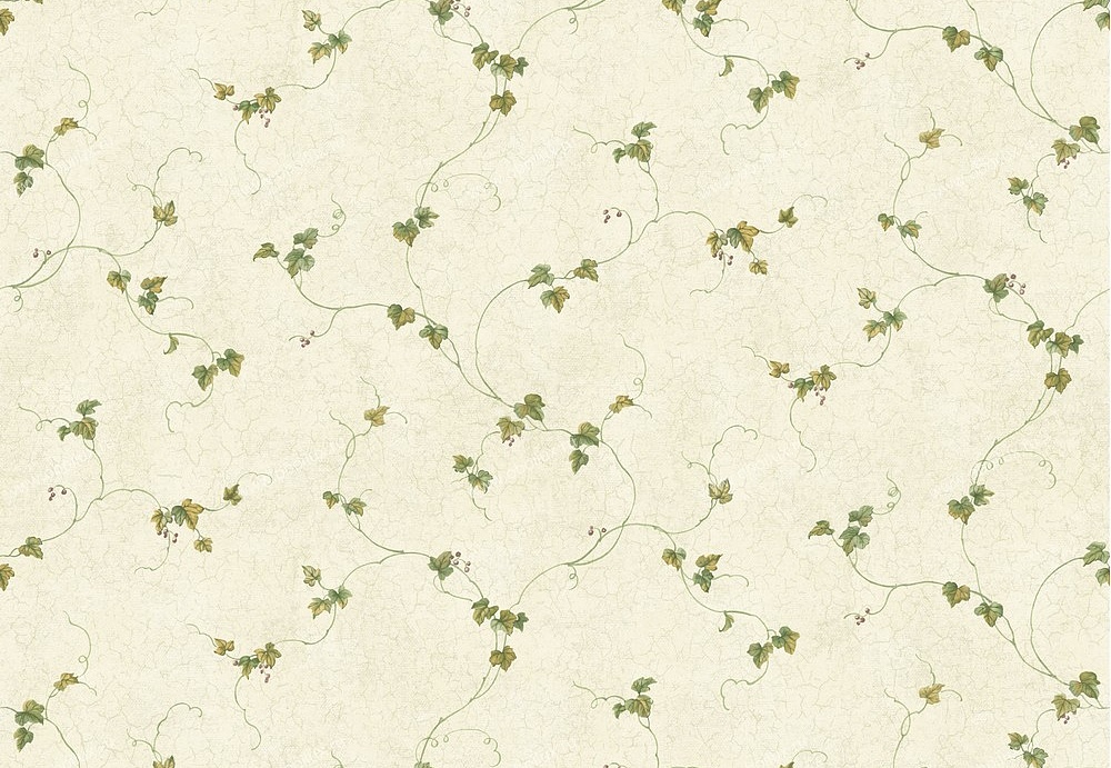 Обои Chesapeake Pure Country PUR21701