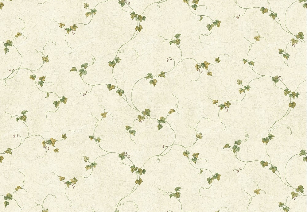 Обои Chesapeake Pure Country PUR21701