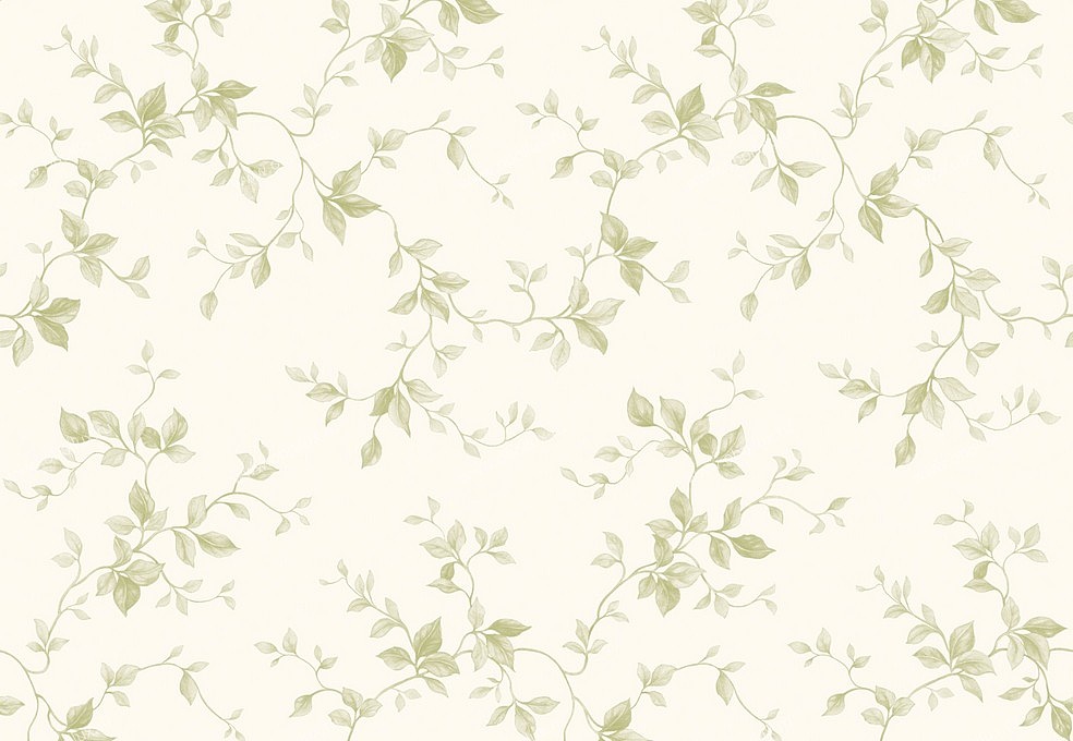 Обои Chesapeake Pure Country PUR21574