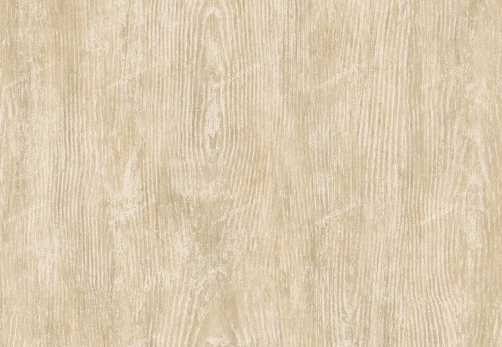 Обои Chesapeake Pure Country PUR1131179