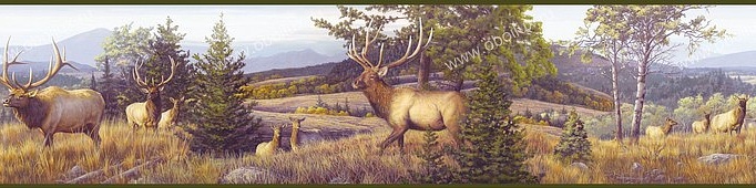 Обои Chesapeake Outdoor HTM48492B