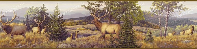 Обои Chesapeake Outdoor HTM48491B