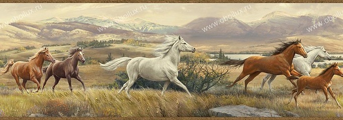 Обои Chesapeake Outdoor HTM48482B