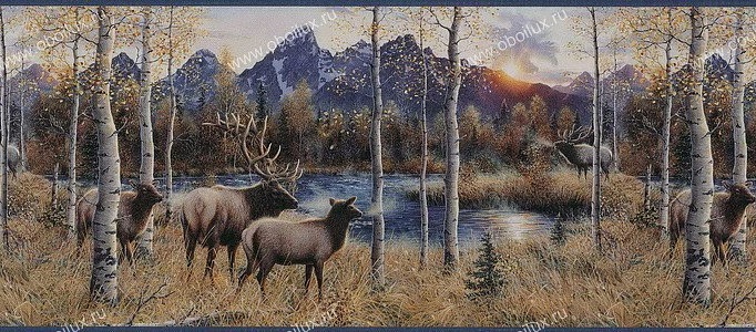 Обои Chesapeake Field Guide FG50281B