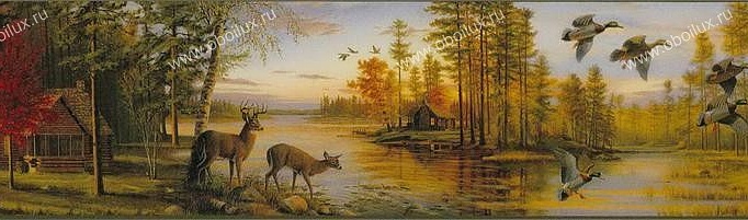 Обои Chesapeake Field Guide FG35541B