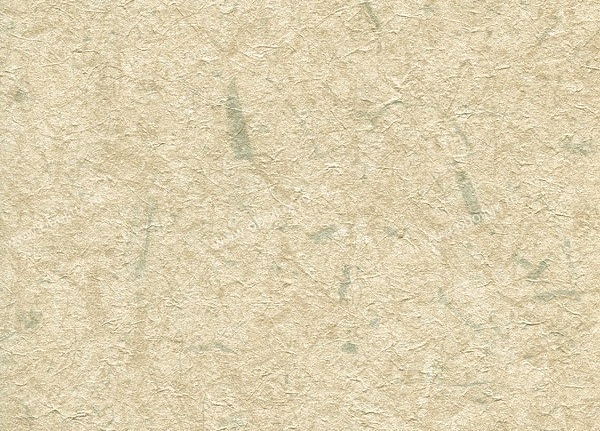 Обои Chesapeake Warner Textures WA9035
