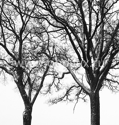 Обои Mr Perswall Photo art P020501-4