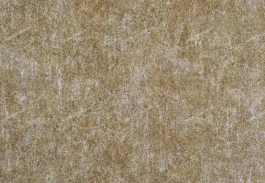 Обои Casamance Caractere 72680947