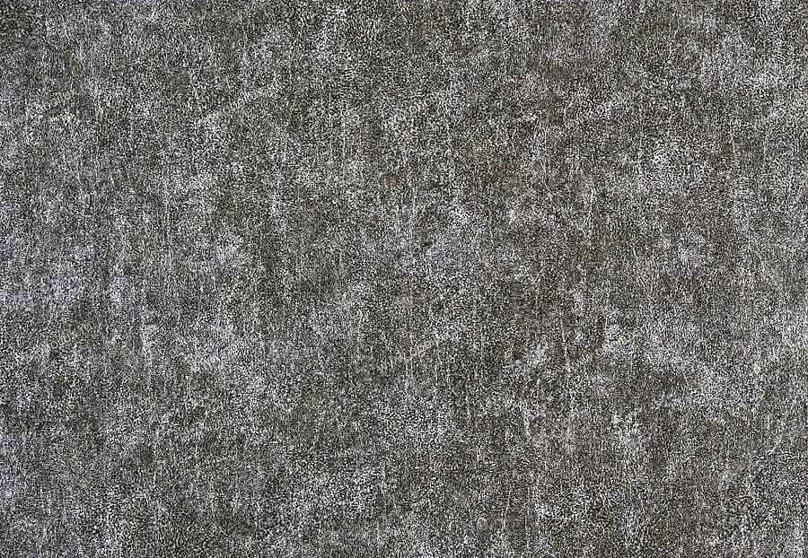 Обои Casamance Caractere 72682118