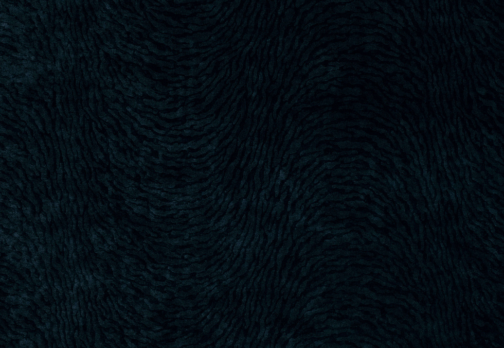 Ткань Black Edition Lorentz 7652/03
