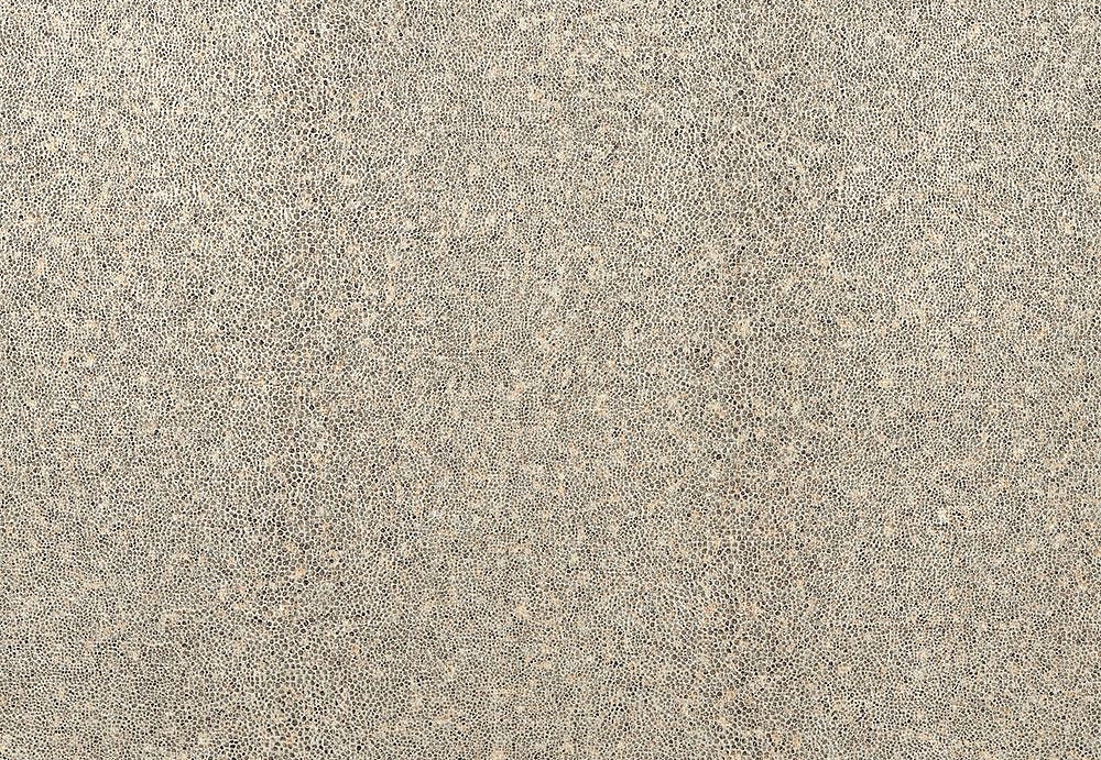 Ткань Casamance Camara 36020158