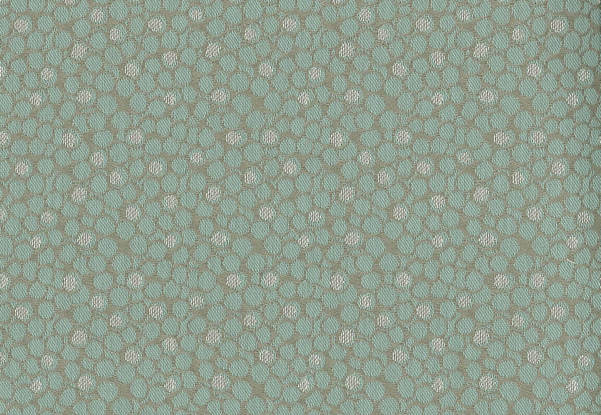 Ткань Nina Campbell Woodsford Weaves NCF4081-01