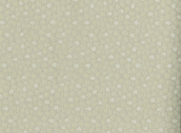Ткань Nina Campbell Woodsford Weaves NCF4081-03