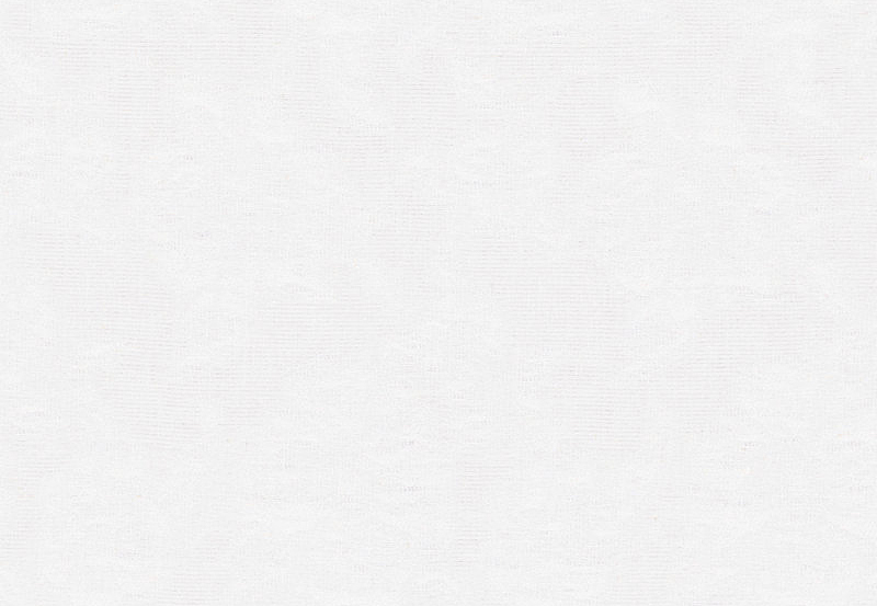 Ткань Ralph Lauren White book LCF65459F