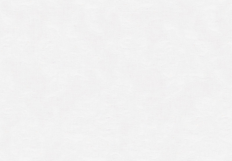 Ткань Ralph Lauren White book LCF65459F