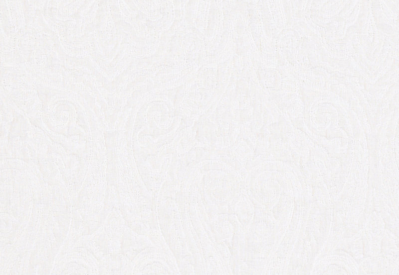 Ткань Ralph Lauren White book LCF65475F