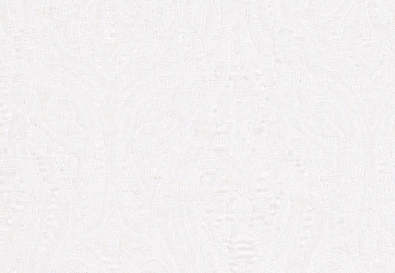 Ткань Ralph Lauren White book LCF65475F