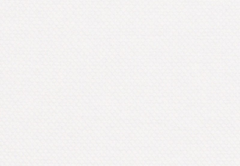Ткань Ralph Lauren White book LCF60380F